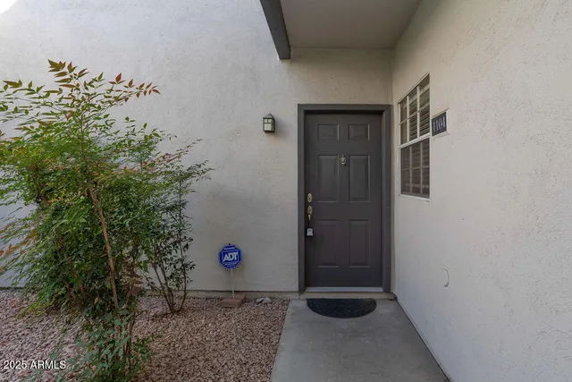 a potted plant sitting in front of a house