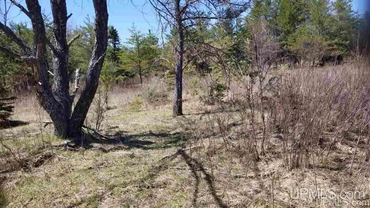 29-acr Pond Road Iron River, MI 49935 - Photo 3 of 29 Gallery Image 3