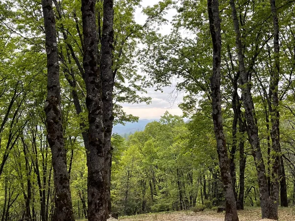 $450,000 | 14437 Lightning Tree Road, Nevada City, CA 95959