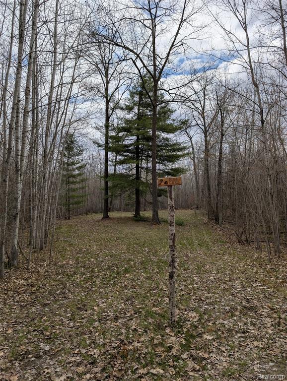 2889 Mill Station Road Hale, MI 48739 - Photo 16 of 33