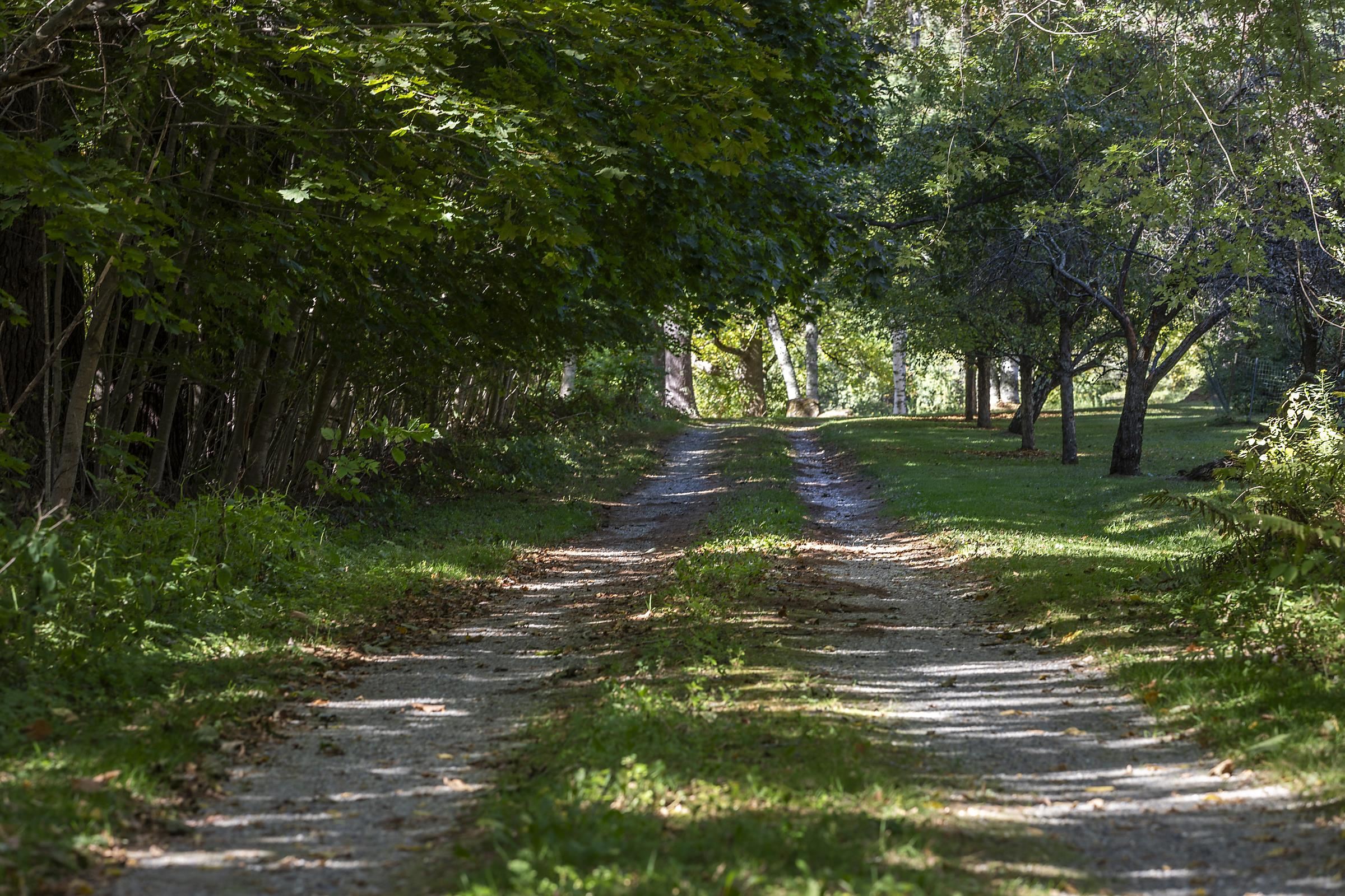 3343 Main Street Manchester, VT 05254 - Photo 5 of 15