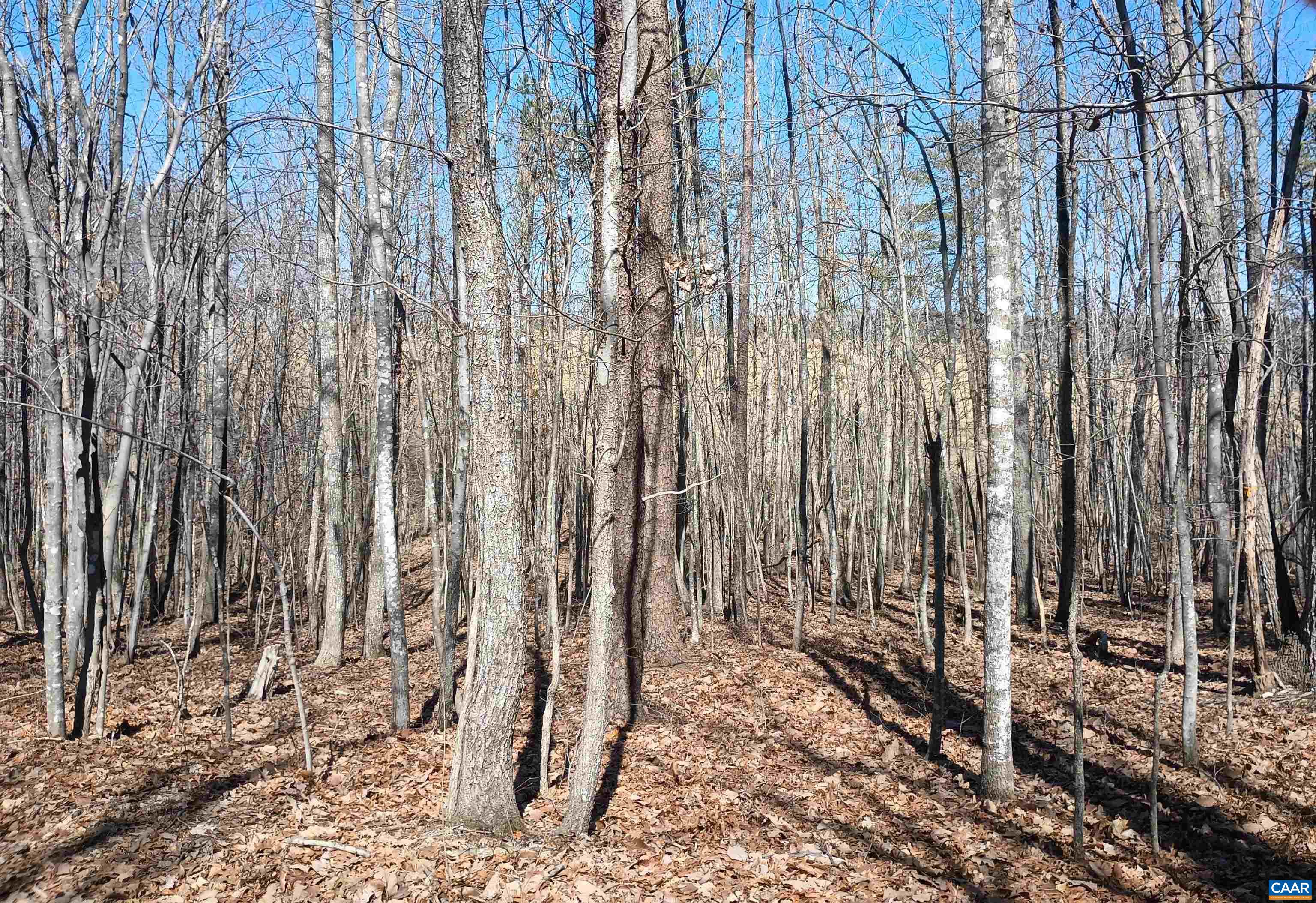 3901 Midland Road Wingina, VA 24599 - Photo 12 of 75