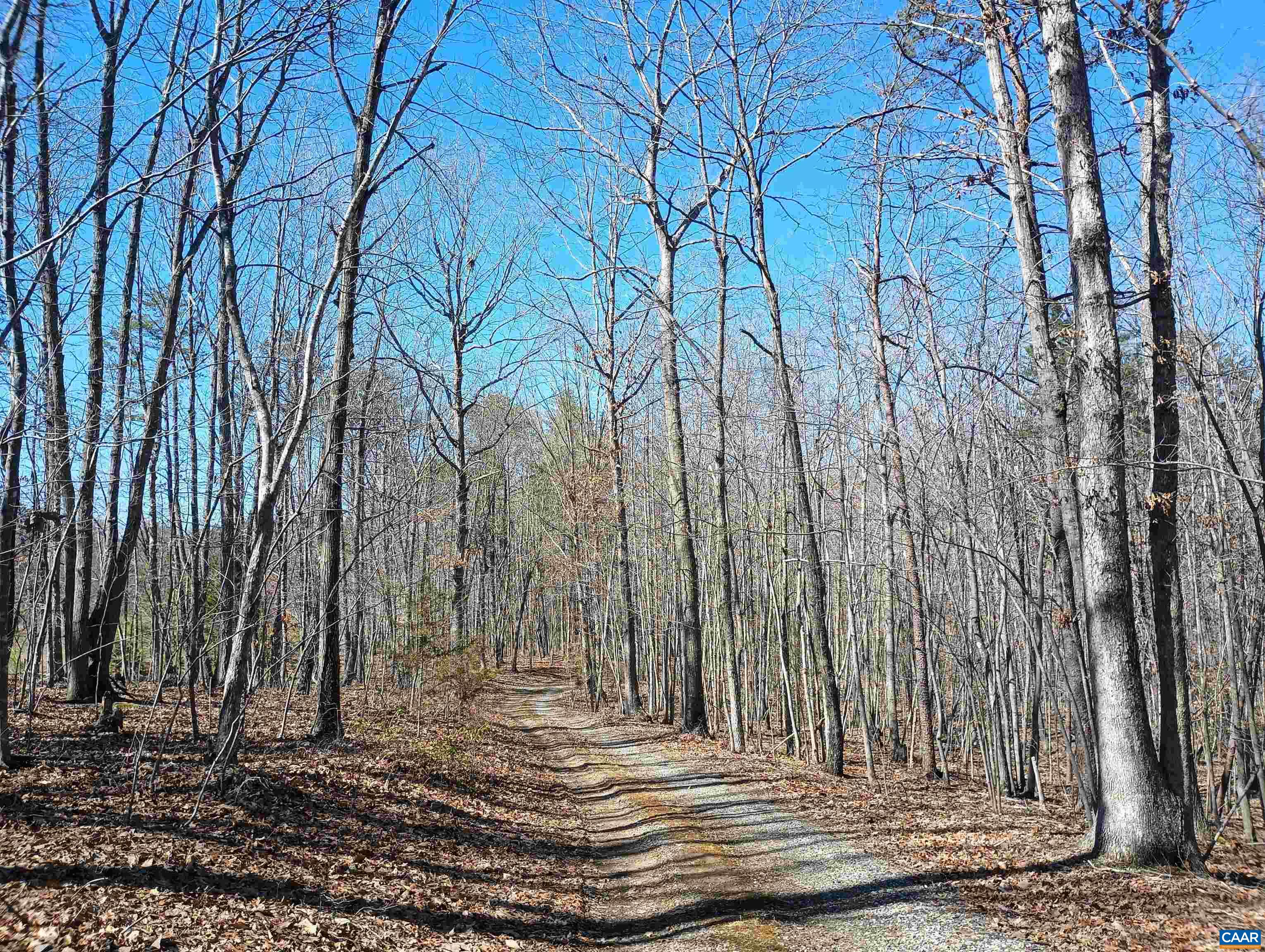 3901 Midland Road Wingina, VA 24599 - Photo 13 of 75