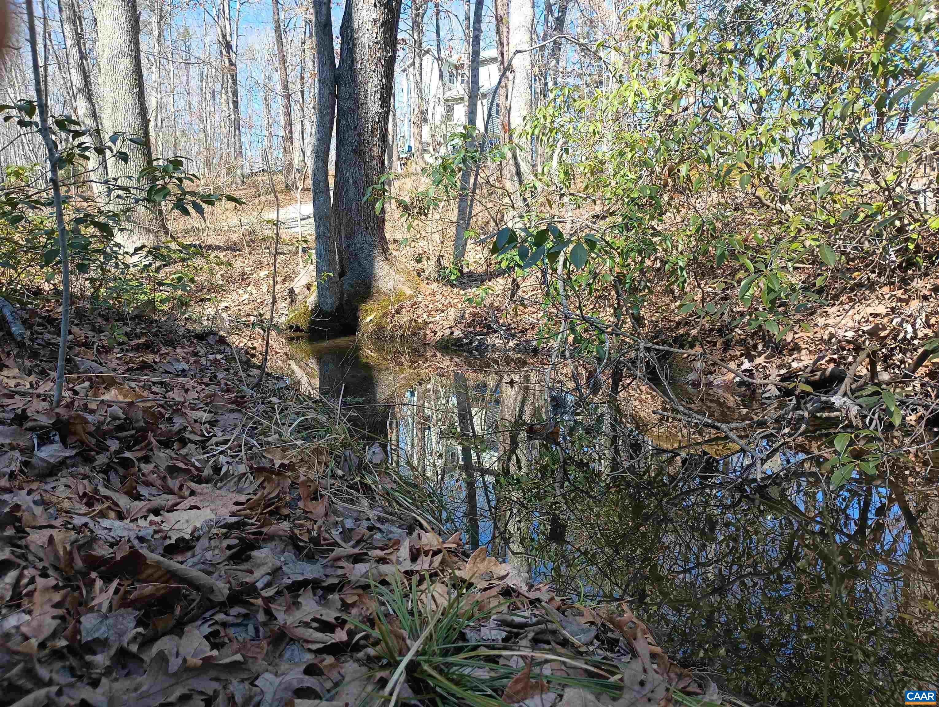 3901 Midland Road Wingina, VA 24599 - Photo 17 of 75