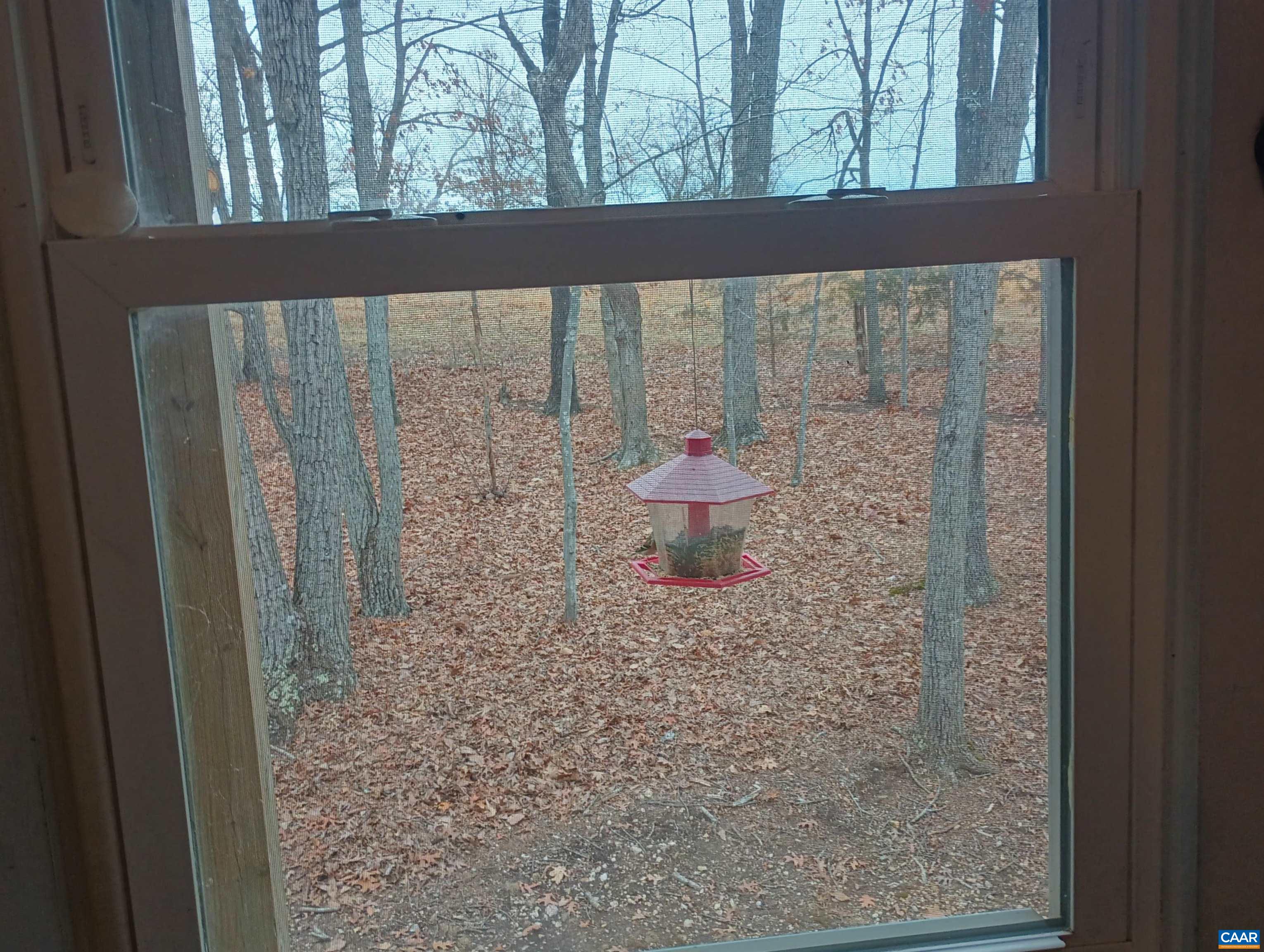 3901 Midland Road Wingina, VA 24599 - Photo 44 of 75