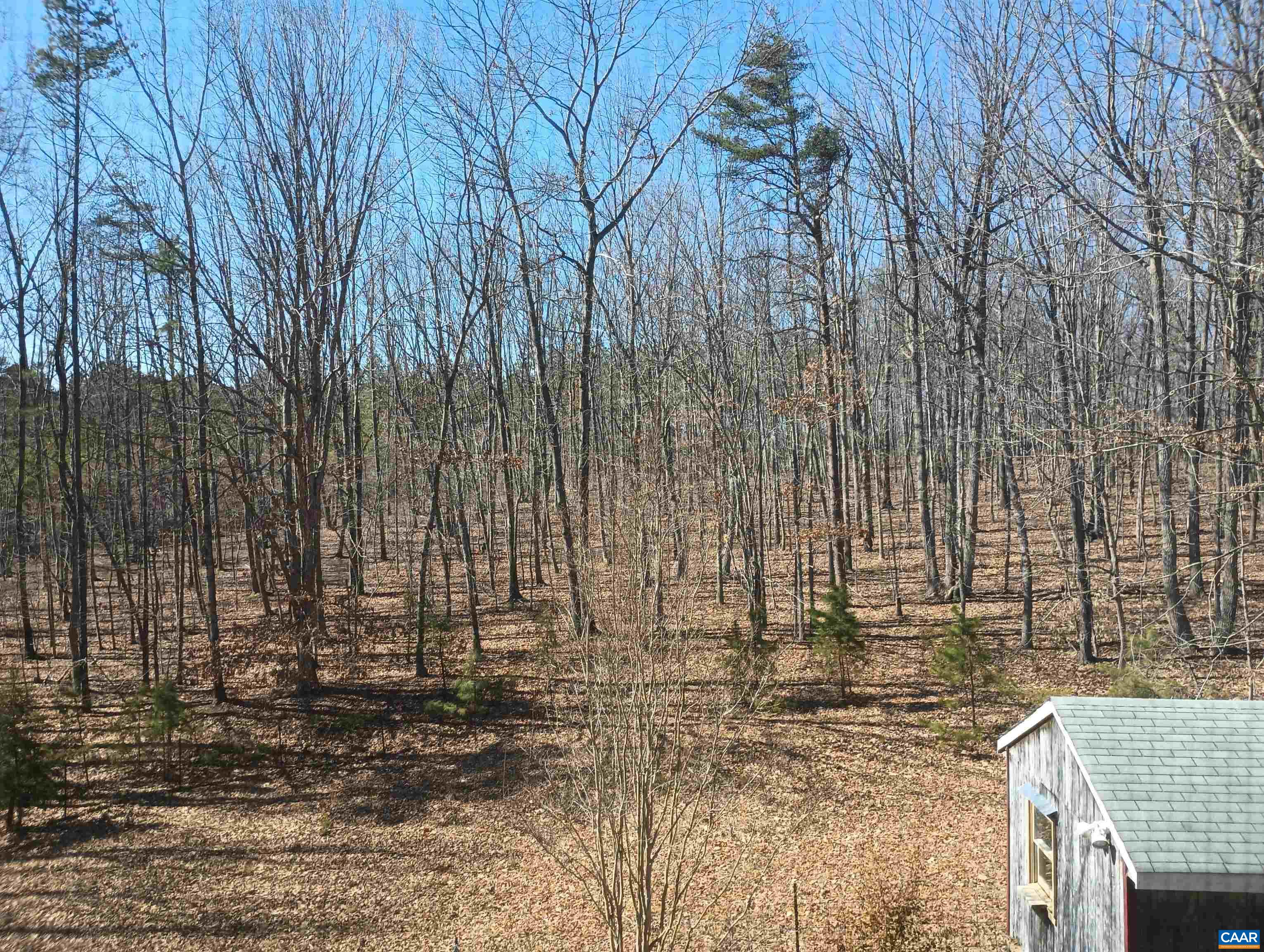 3901 Midland Road Wingina, VA 24599 - Photo 58 of 75