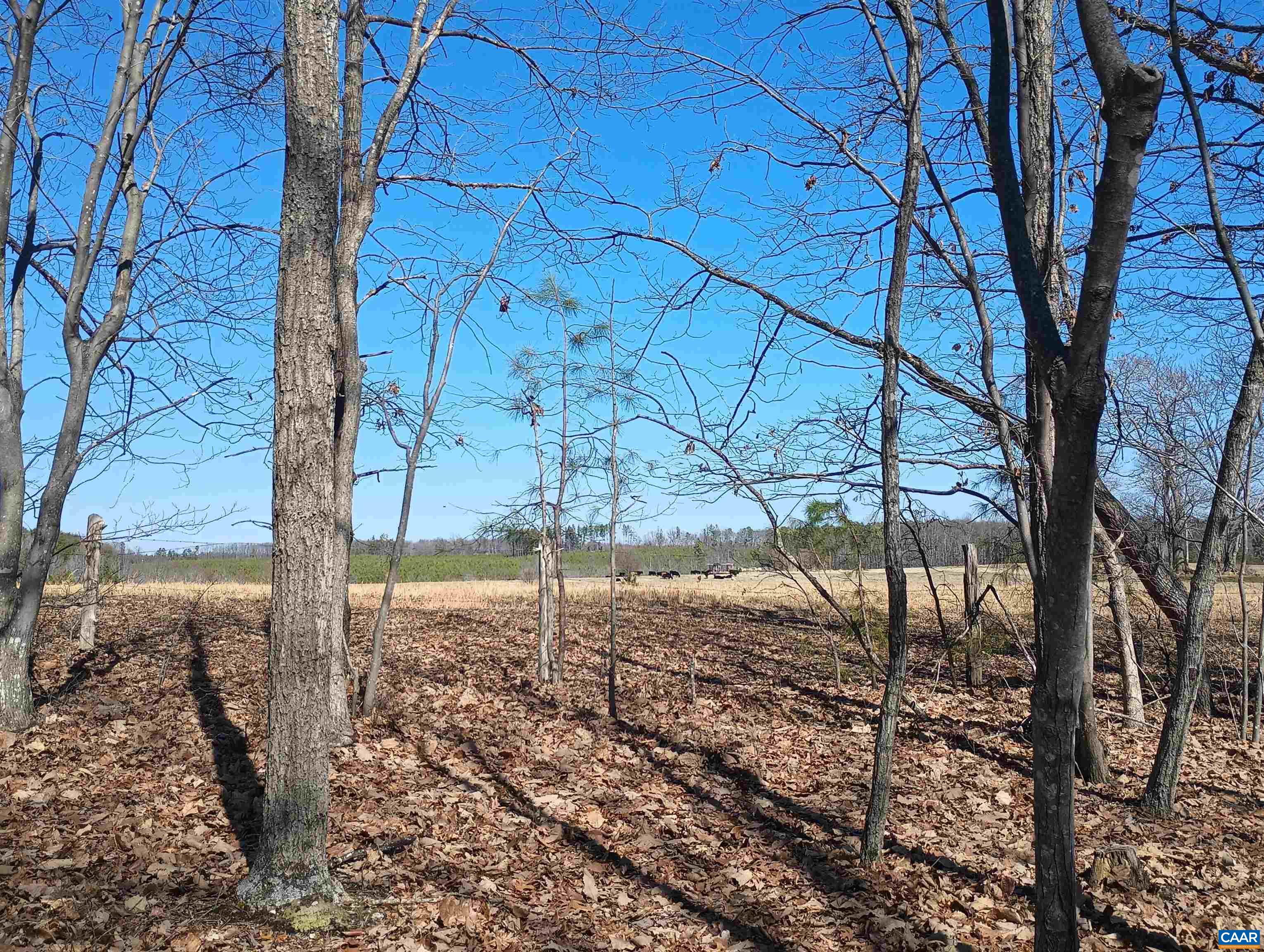 3901 Midland Road Wingina, VA 24599 - Photo 71 of 75