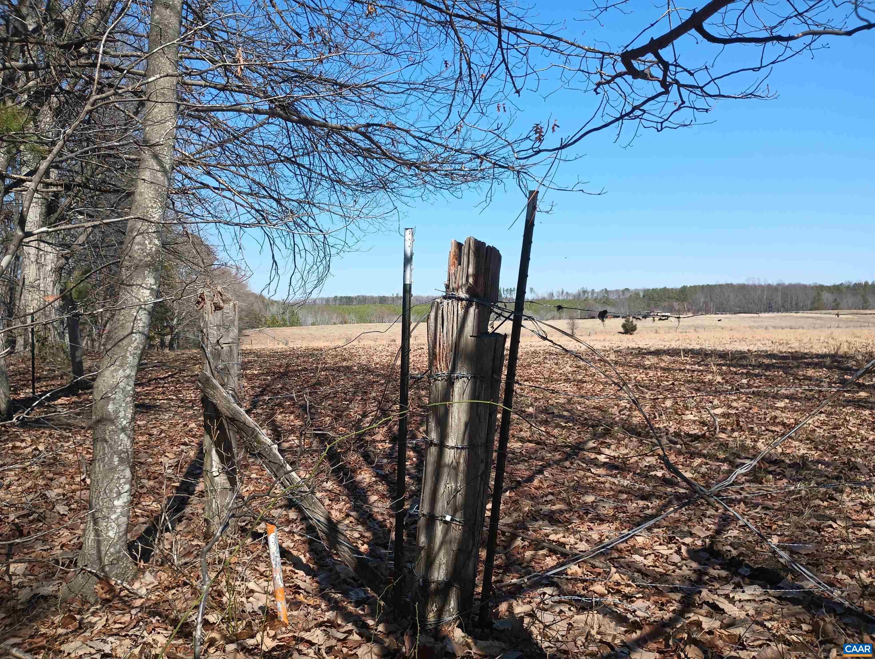 3901 Midland Road Wingina, VA 24599 - Photo 73 of 75