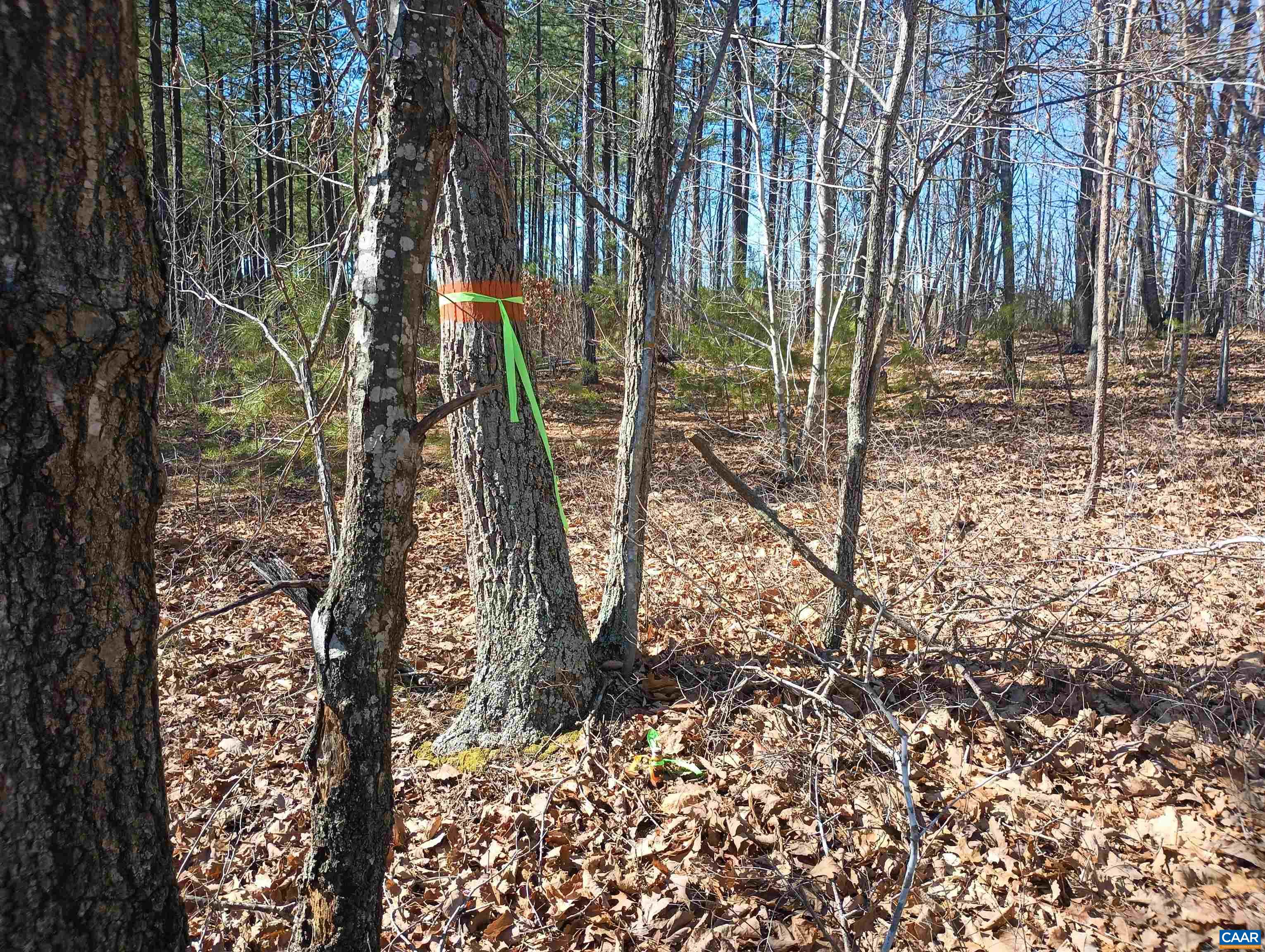 3901 Midland Road Wingina, VA 24599 - Photo 74 of 75