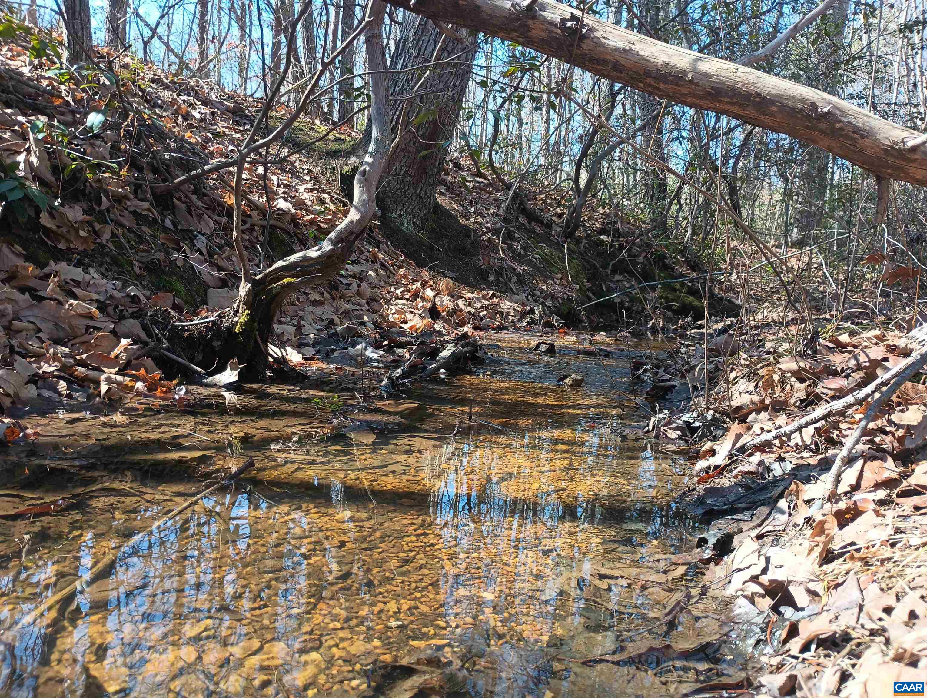 3901 Midland Road Wingina, VA 24599 - Photo 75 of 75