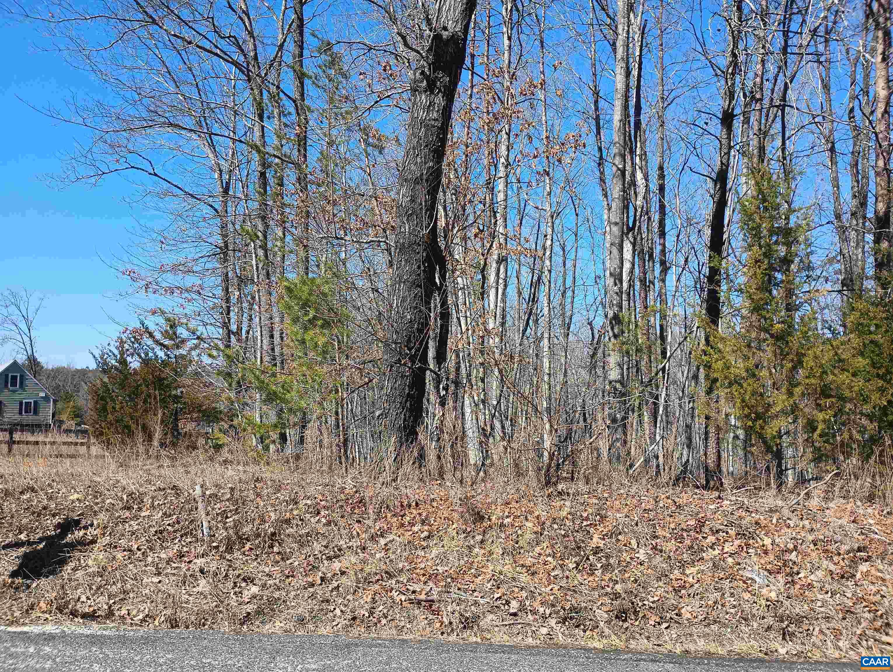 3901 Midland Road Wingina, VA 24599 - Photo 9 of 75