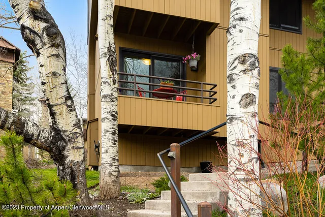 front view of a house with a tree