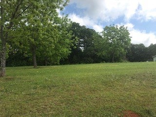4451 Anderson Road Opelika, AL 36801 - Photo 1 of 2 Gallery Image 1