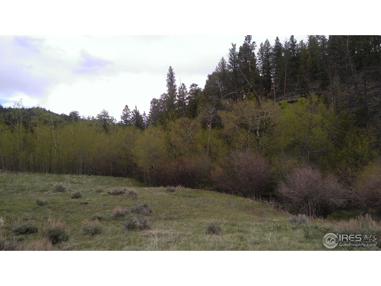 981 Beartrap Road Red Feather Lakes, CO 80545 - Photo 1 of 17 Lone Pine Creek Valley