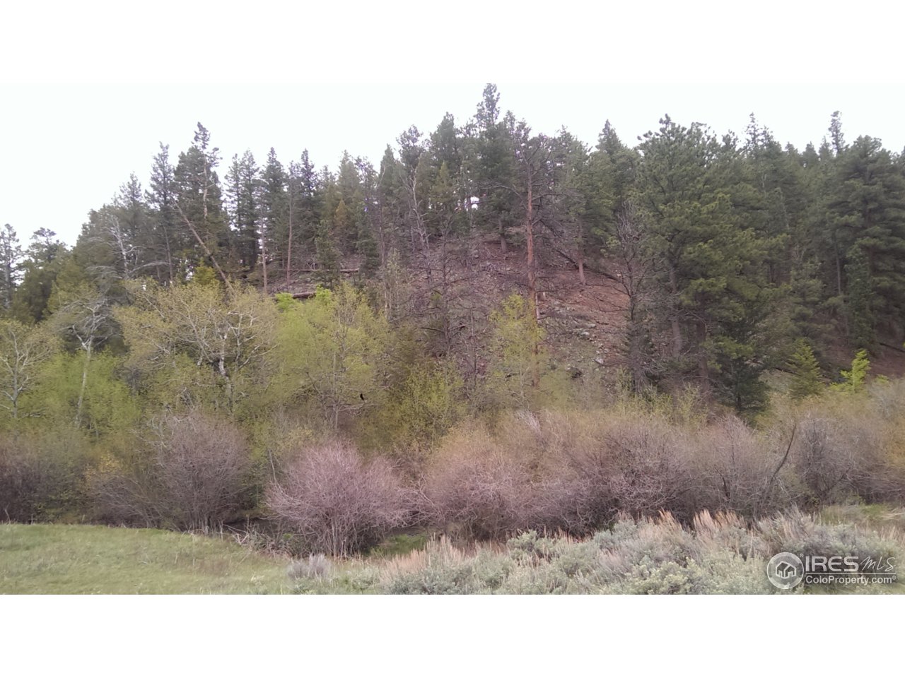981 Beartrap Road Red Feather Lakes, CO 80545 - Photo 16 of 17 Gallery Image 16