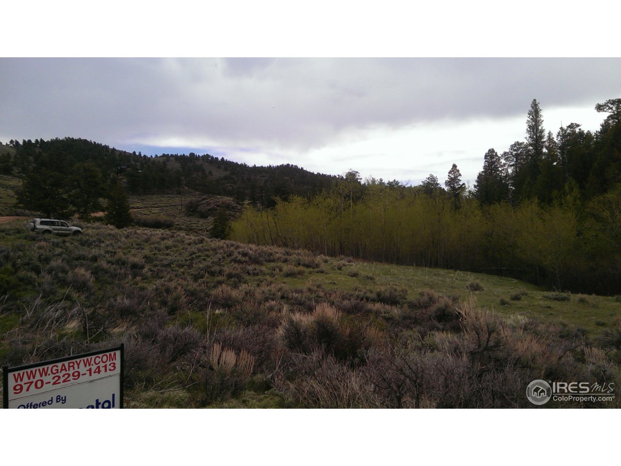 981 Beartrap Road Red Feather Lakes, CO 80545 - Photo 17 of 17 Gallery Image 17