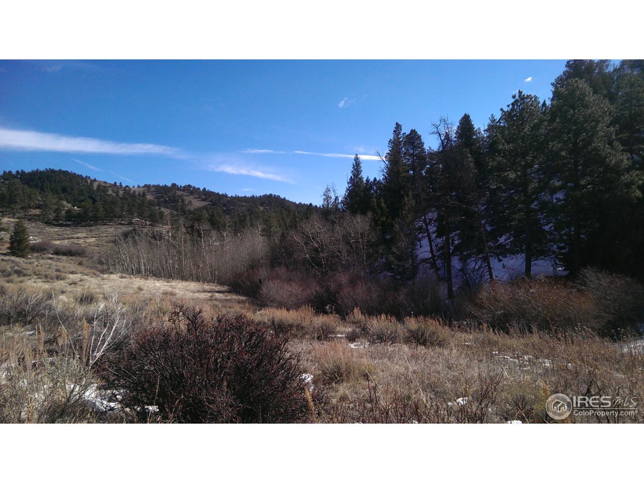 981 Beartrap Road Red Feather Lakes, CO 80545 - Photo 10 of 17 Gallery Image 10