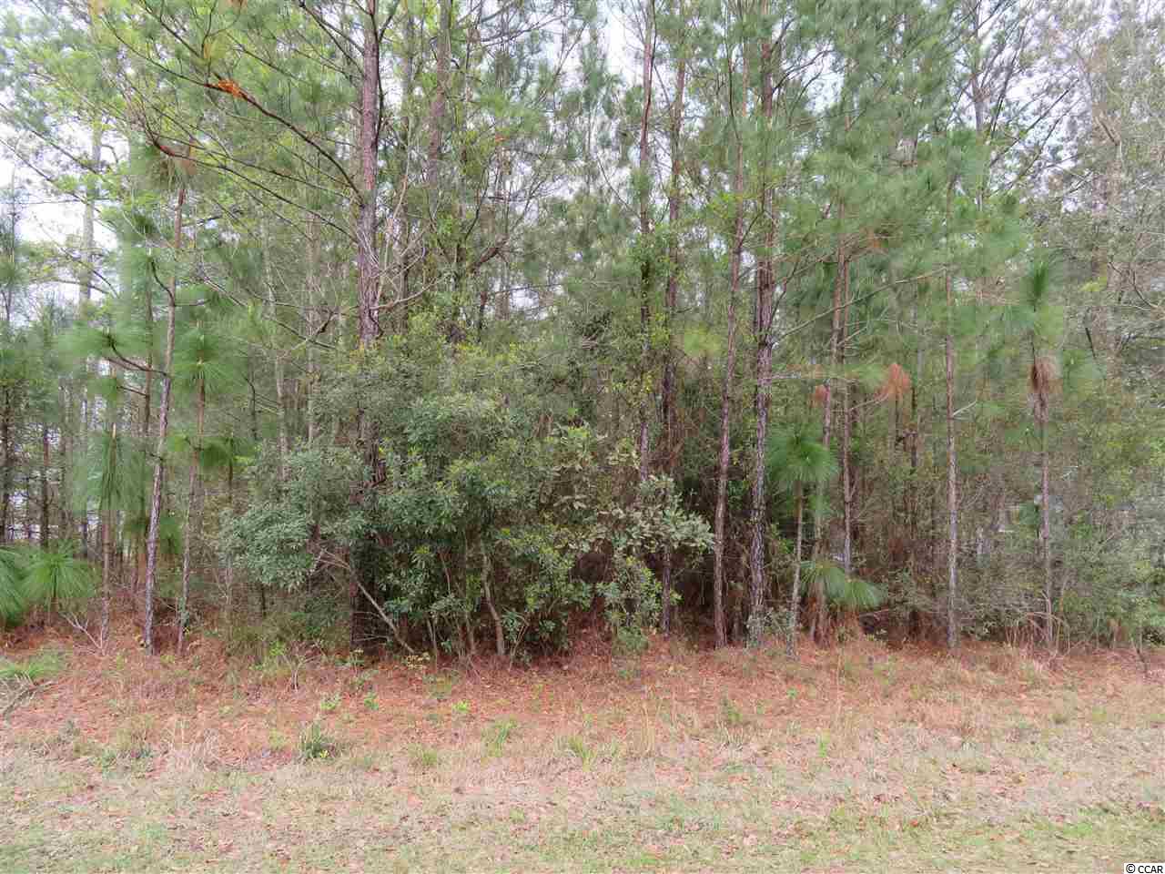Lot E Veronica Road Georgetown, SC 29440 - Photo 1 of 21 Gallery Image 1