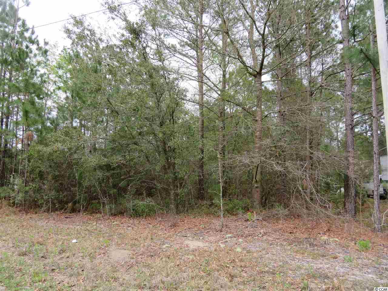 Lot E Veronica Road Georgetown, SC 29440 - Photo 2 of 21 Gallery Image 2