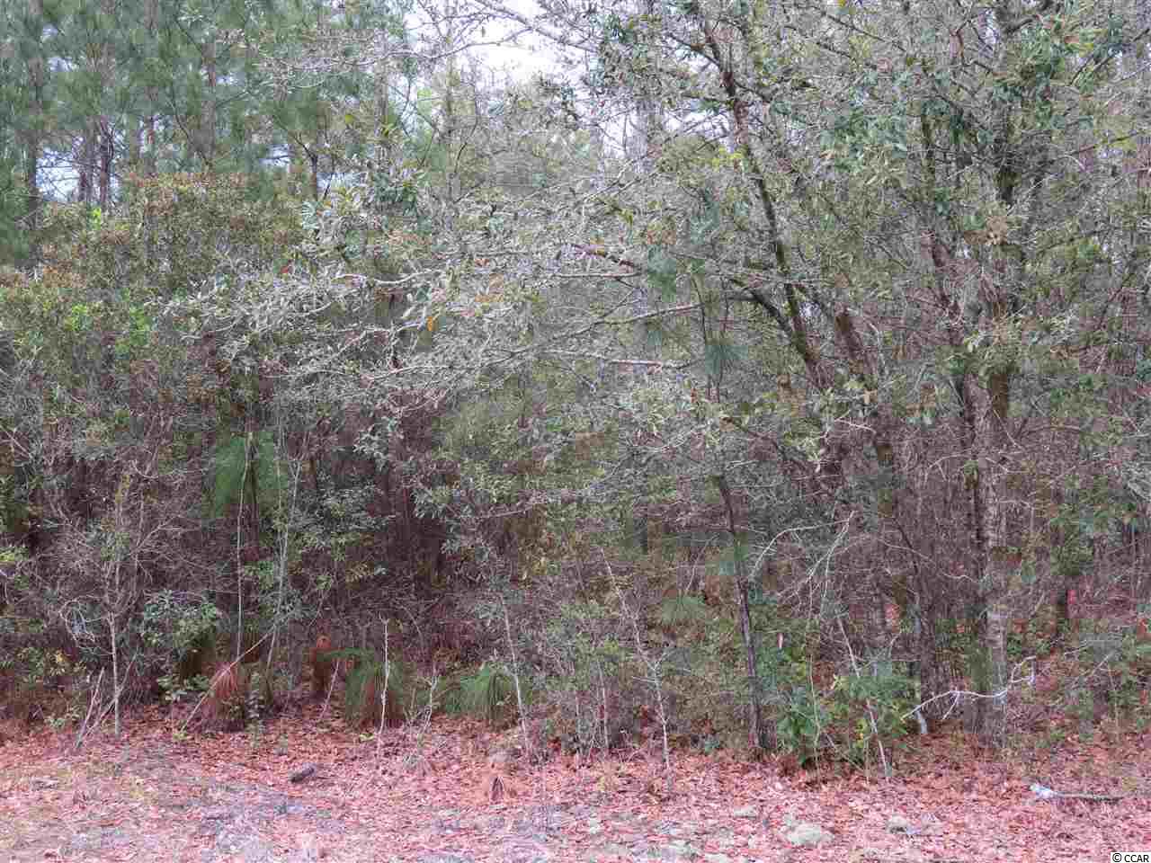 Lot E Veronica Road Georgetown, SC 29440 - Photo 3 of 21 Gallery Image 3