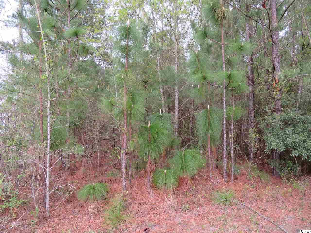 Lot E Veronica Road Georgetown, SC 29440 - Photo 4 of 21 Gallery Image 4