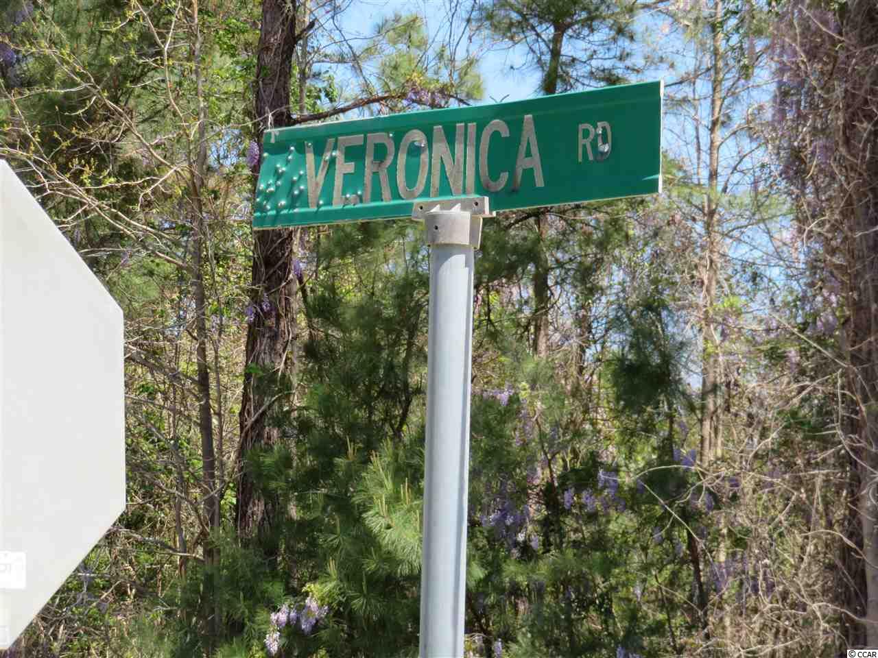 Lot E Veronica Road Georgetown, SC 29440 - Photo 6 of 21 Gallery Image 6