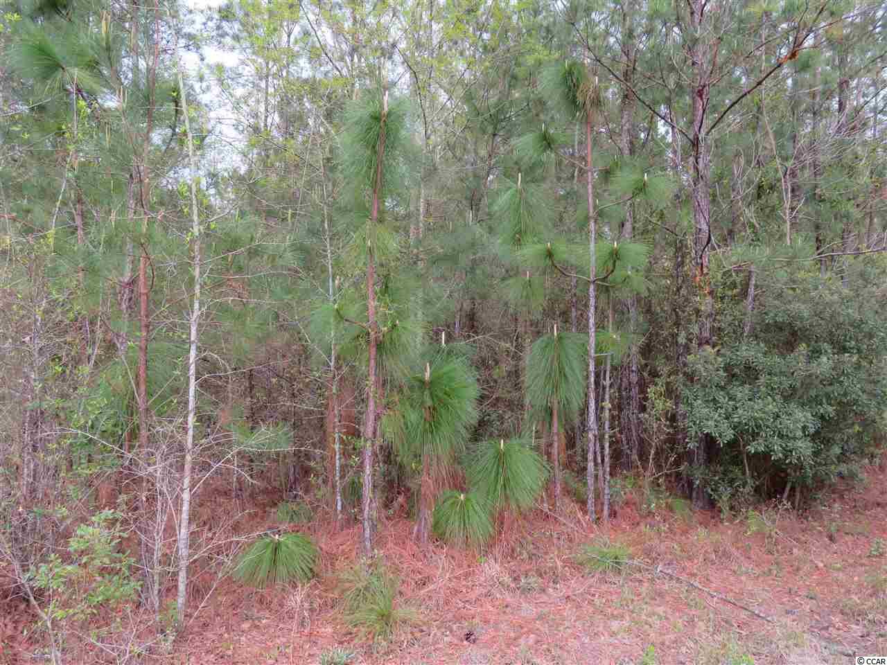 Lot E Veronica Road Georgetown, SC 29440 - Photo 7 of 21 Gallery Image 7
