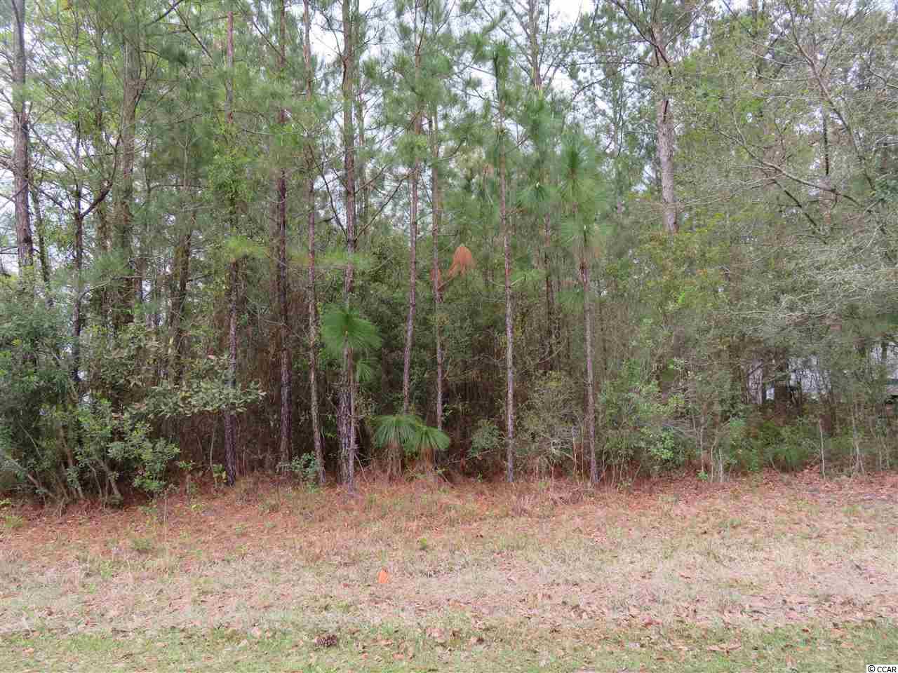 Lot E Veronica Road Georgetown, SC 29440 - Photo 8 of 21 Gallery Image 8