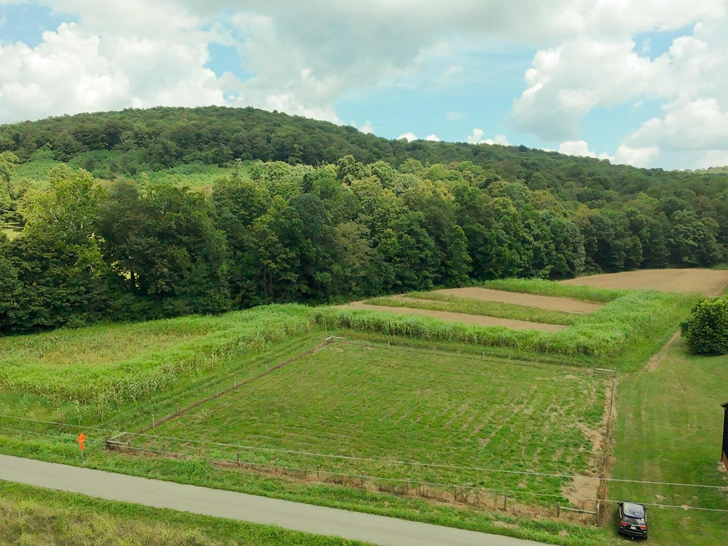 0 Schmidt Road Bainbridge, OH 45612 - Photo 2 of 59 0 Schmidt Rd (1 of 60)