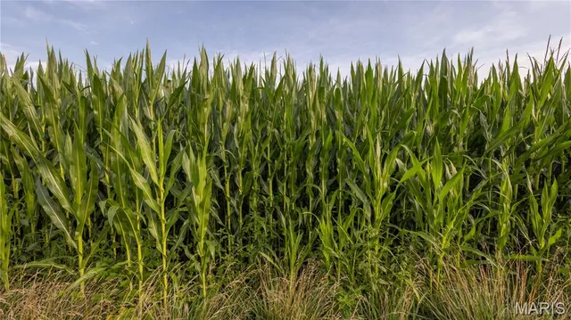 $479,900 | 0 Sand Creek Bottom Road, Greentop, MO 63546