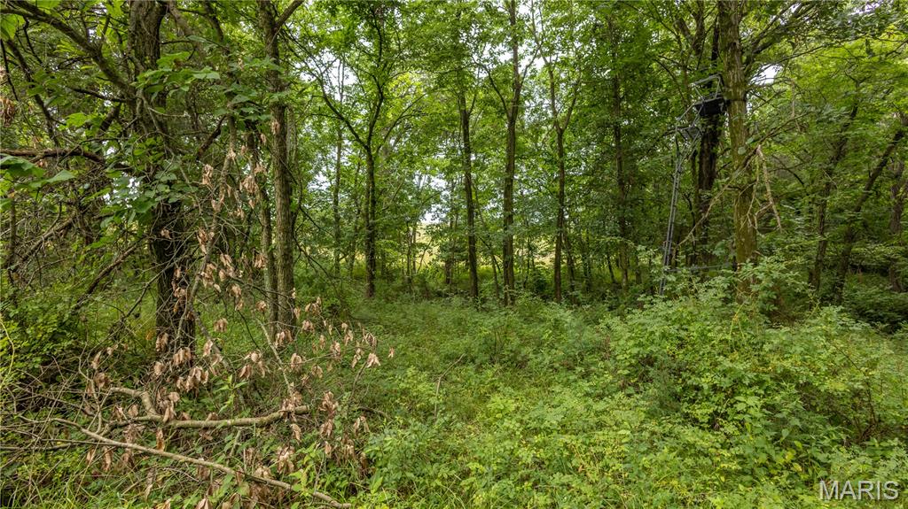 0 Sand Creek Bottom Road Greentop, MO 63546 - Photo 15 of 36