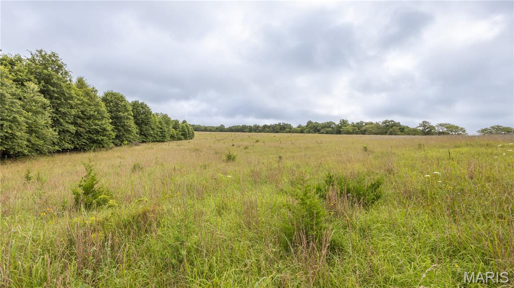 0 Sand Creek Bottom Road Greentop, MO 63546 - Photo 24 of 36