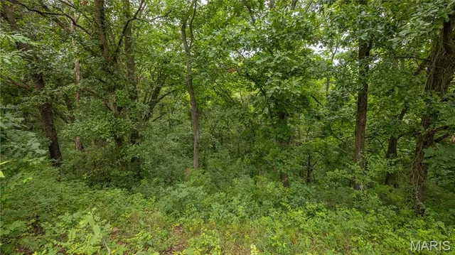 $479,900 | 0 Sand Creek Bottom Road, Greentop, MO 63546