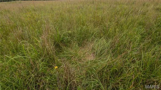 $479,900 | 0 Sand Creek Bottom Road, Greentop, MO 63546