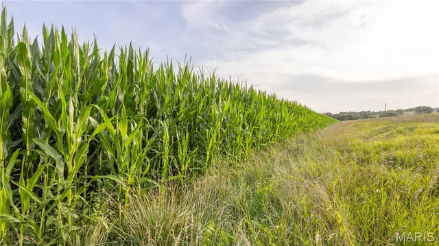 $479,900 | 0 Sand Creek Bottom Road, Greentop, MO 63546