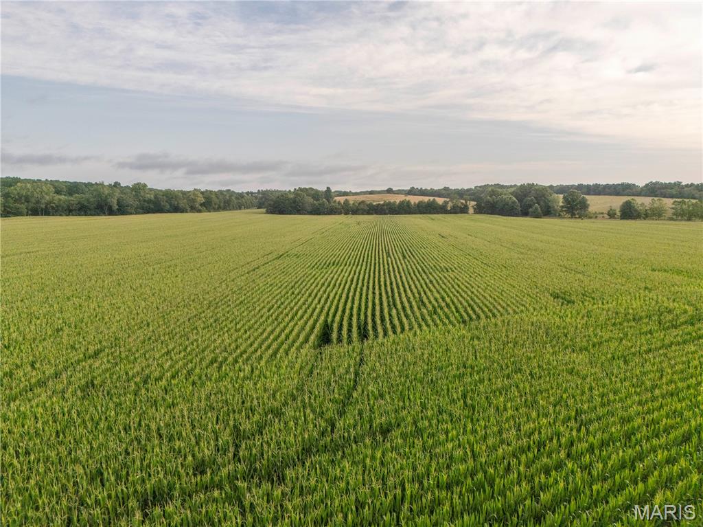 0 Sand Creek Bottom Road Greentop, MO 63546 - Photo 6 of 36
