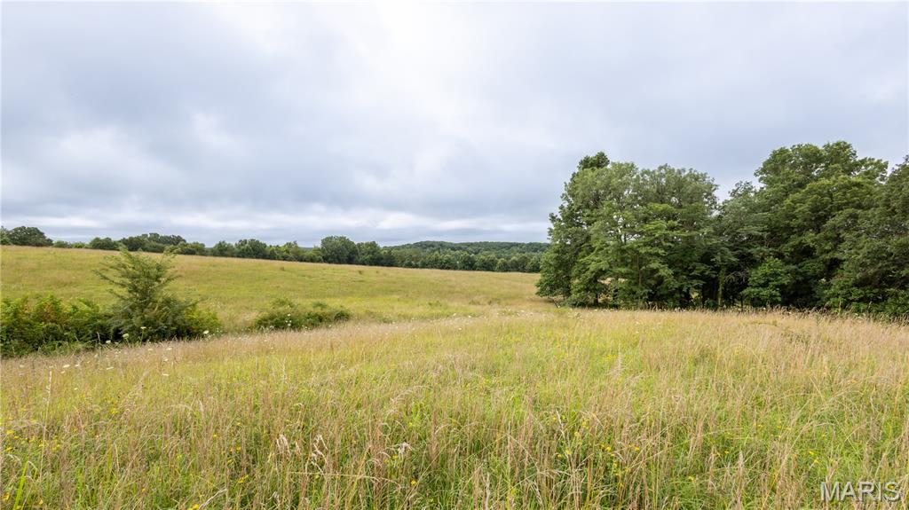 0 Sand Creek Bottom Road Greentop, MO 63546 - Photo 9 of 36