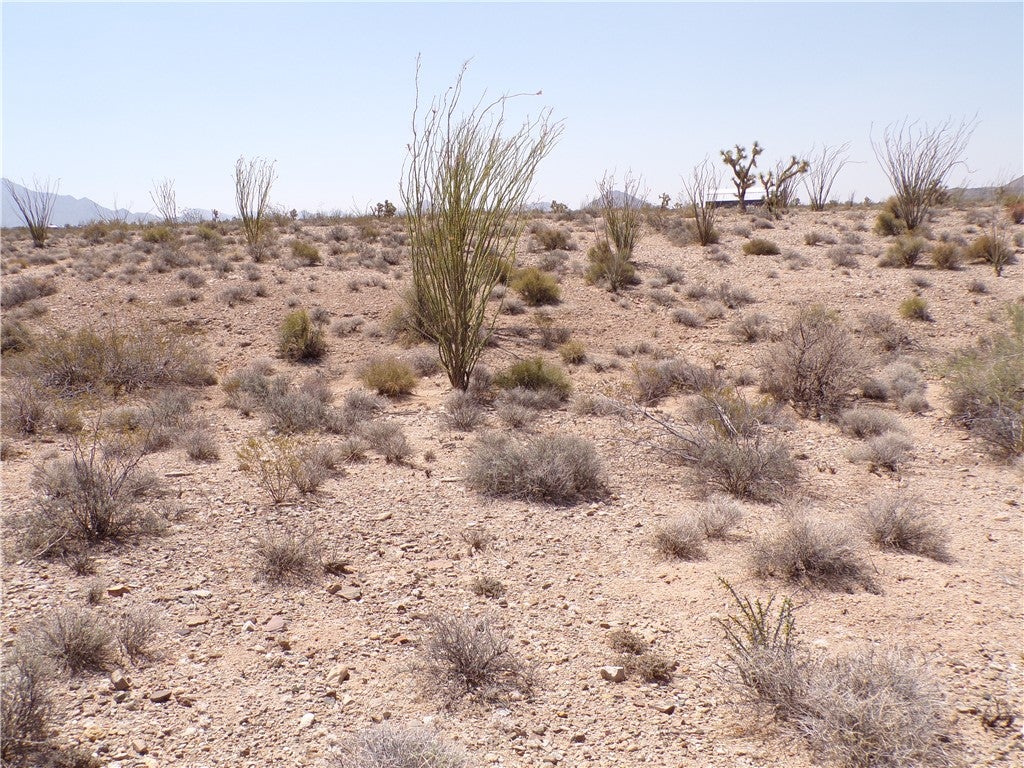 245-18-187 South Sherry Road Yucca, AZ 86438 - Photo 14 of 34 Gallery Image 14