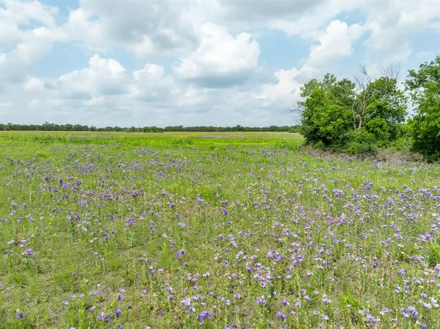 $395,900 | 4 County Road 410, Purmela, TX 76566