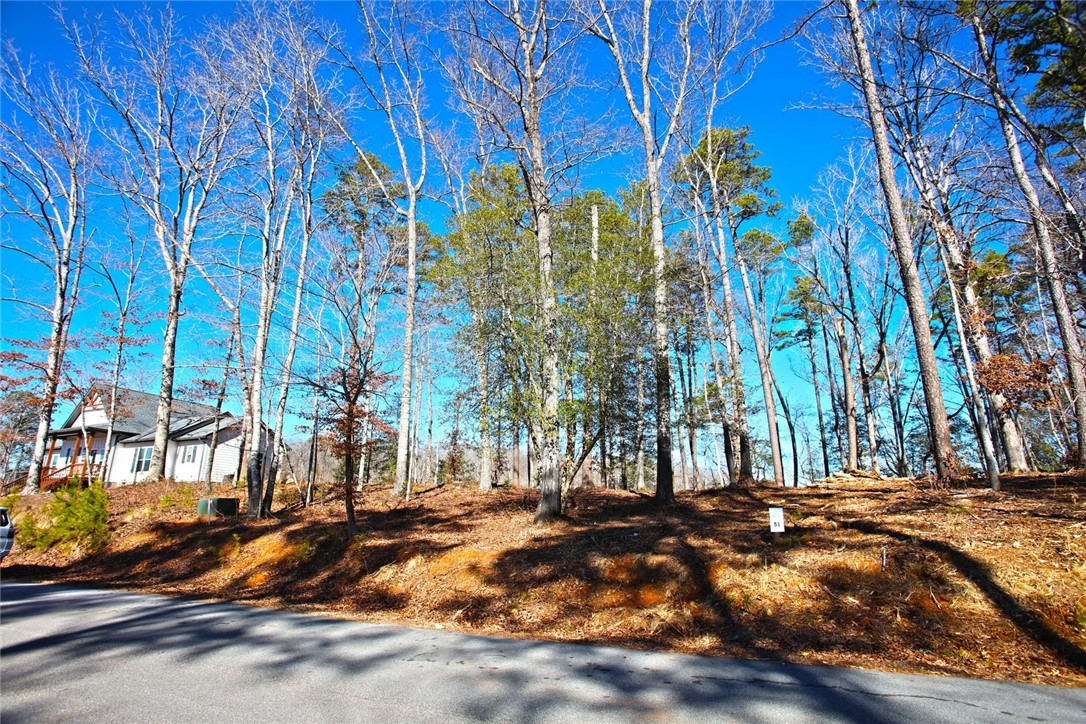 Lot 51 Harbor Point Seneca, SC 29672 - Photo 13 of 35