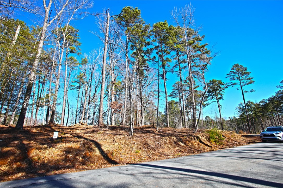 Lot 51 Harbor Point Seneca, SC 29672 - Photo 14 of 35