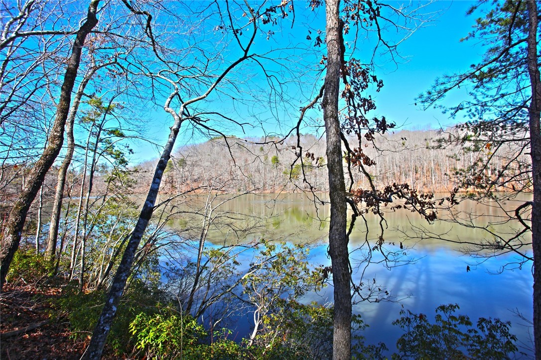Lot 51 Harbor Point Seneca, SC 29672 - Photo 15 of 35