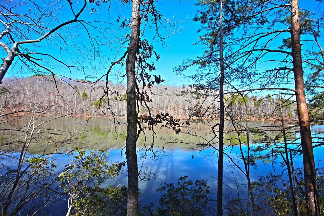 Lot 51 Harbor Point Seneca, SC 29672 - Photo 16 of 35