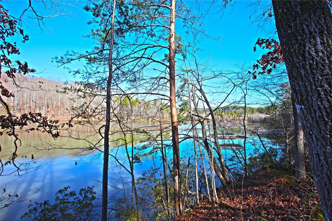 Lot 51 Harbor Point Seneca, SC 29672 - Photo 17 of 35