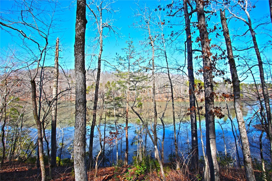 Lot 51 Harbor Point Seneca, SC 29672 - Photo 19 of 35
