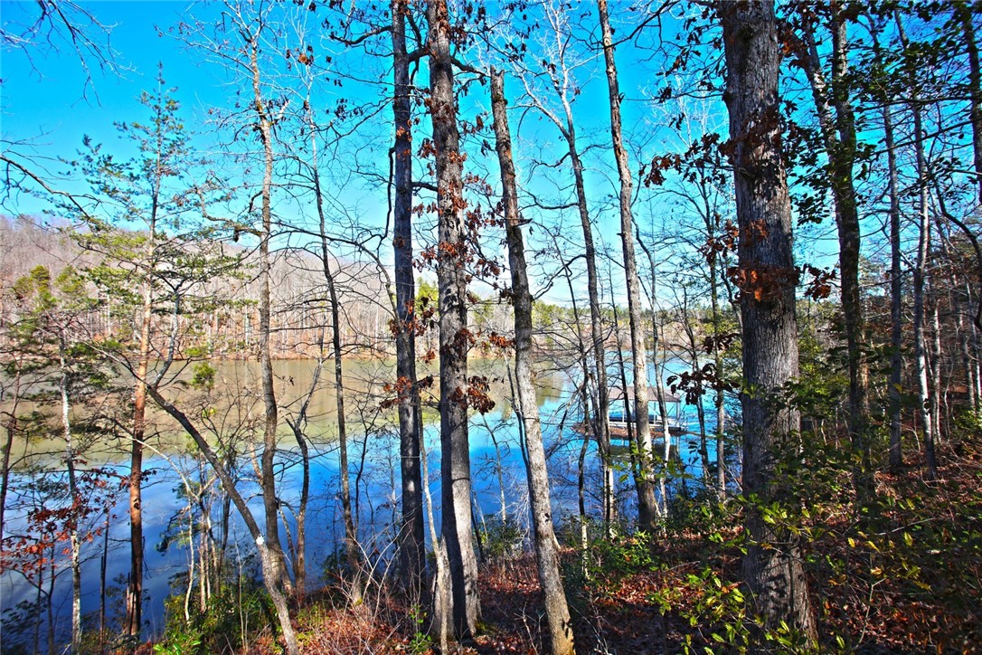 Lot 51 Harbor Point Seneca, SC 29672 - Photo 20 of 35