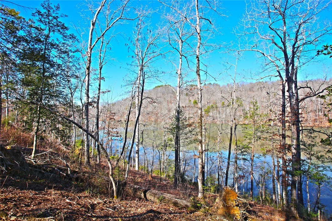 Lot 51 Harbor Point Seneca, SC 29672 - Photo 21 of 35