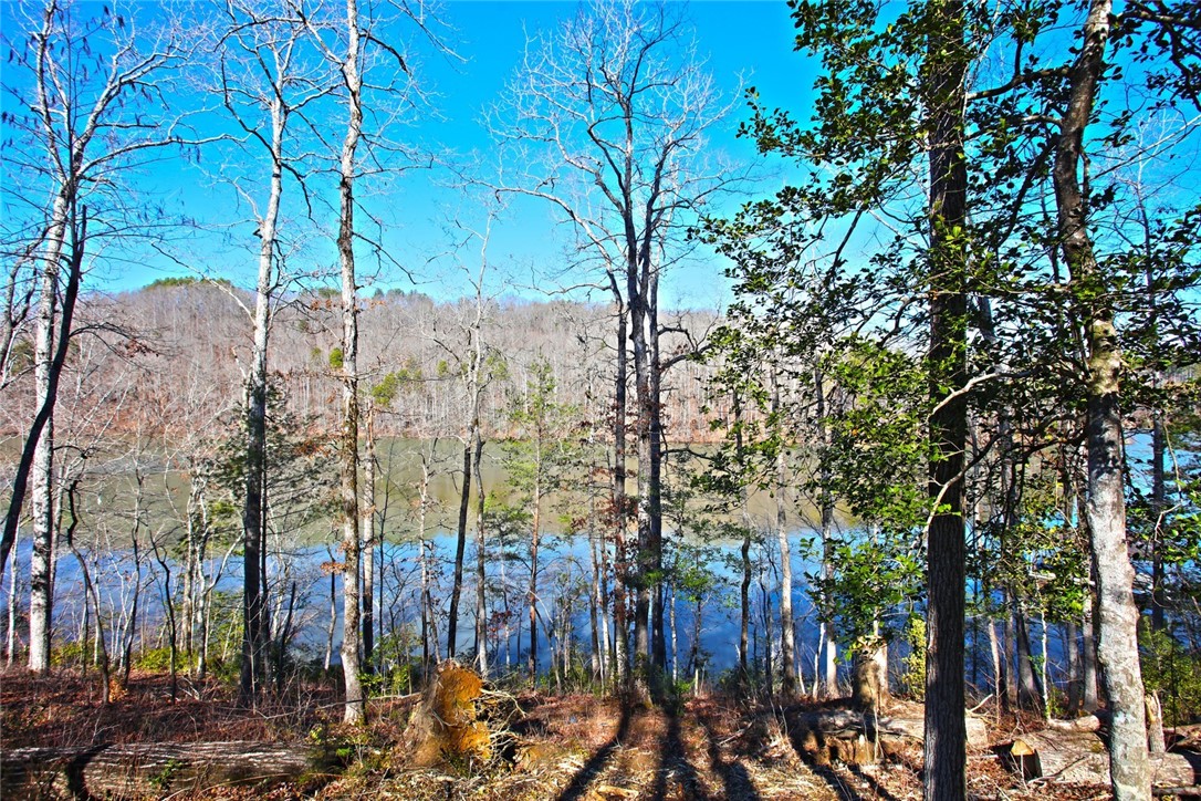 Lot 51 Harbor Point Seneca, SC 29672 - Photo 22 of 35