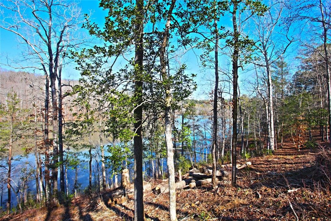 Lot 51 Harbor Point Seneca, SC 29672 - Photo 23 of 35