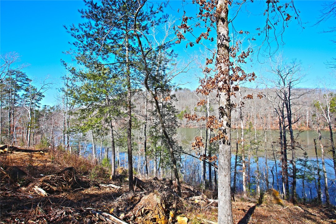 Lot 51 Harbor Point Seneca, SC 29672 - Photo 24 of 35